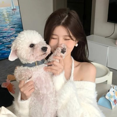 DB库柏的冒险旅程